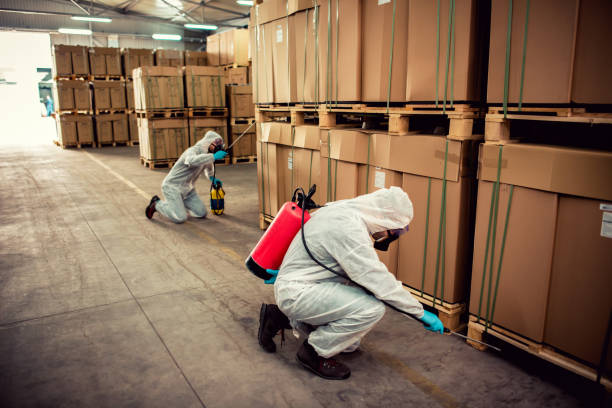 Reliable Chouteau, OK Pest Control Solutions