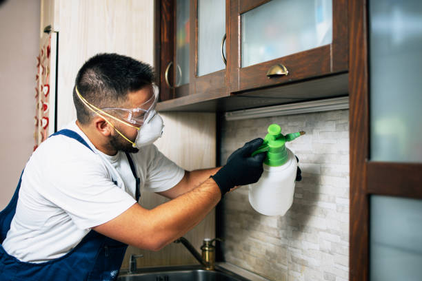 Best Emergency Pest Control  in Chouteau, OK