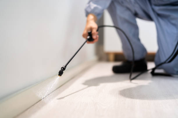 Best Pest Prevention Services  in Chouteau, OK