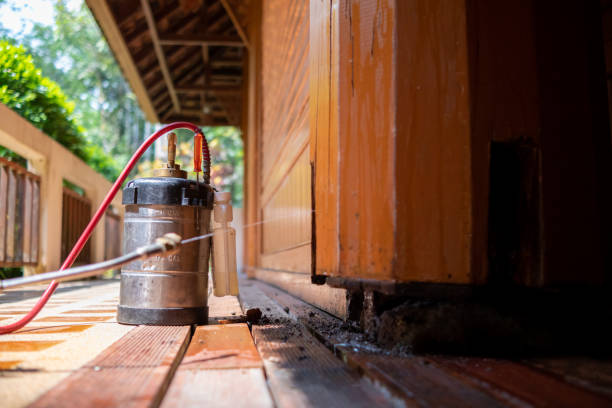 Best Best Pest Control Companies  in Chouteau, OK