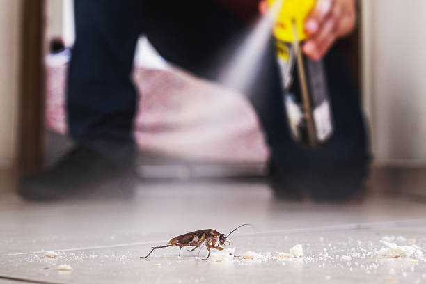 Pest Control for Restaurants in Chouteau, OK