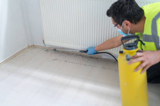 Best Flea Control Services  in Chouteau, OK