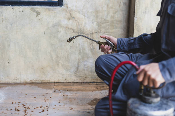 Best Residential Pest Control  in Chouteau, OK